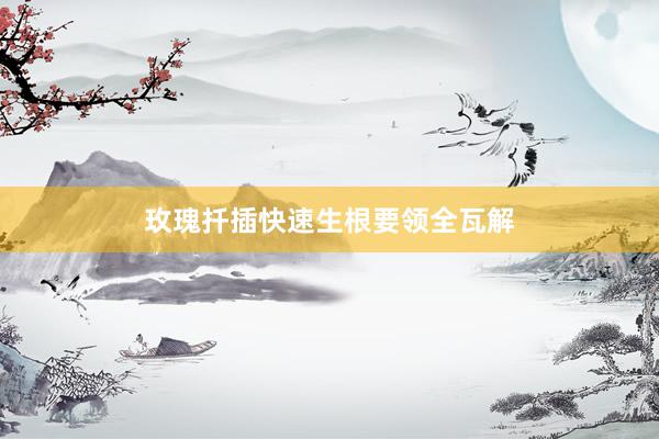 玫瑰扦插快速生根要领全瓦解