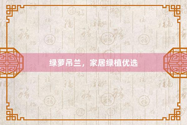 绿萝吊兰,家居绿植优选