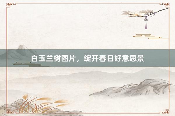 白玉兰树图片，绽开春日好意思景